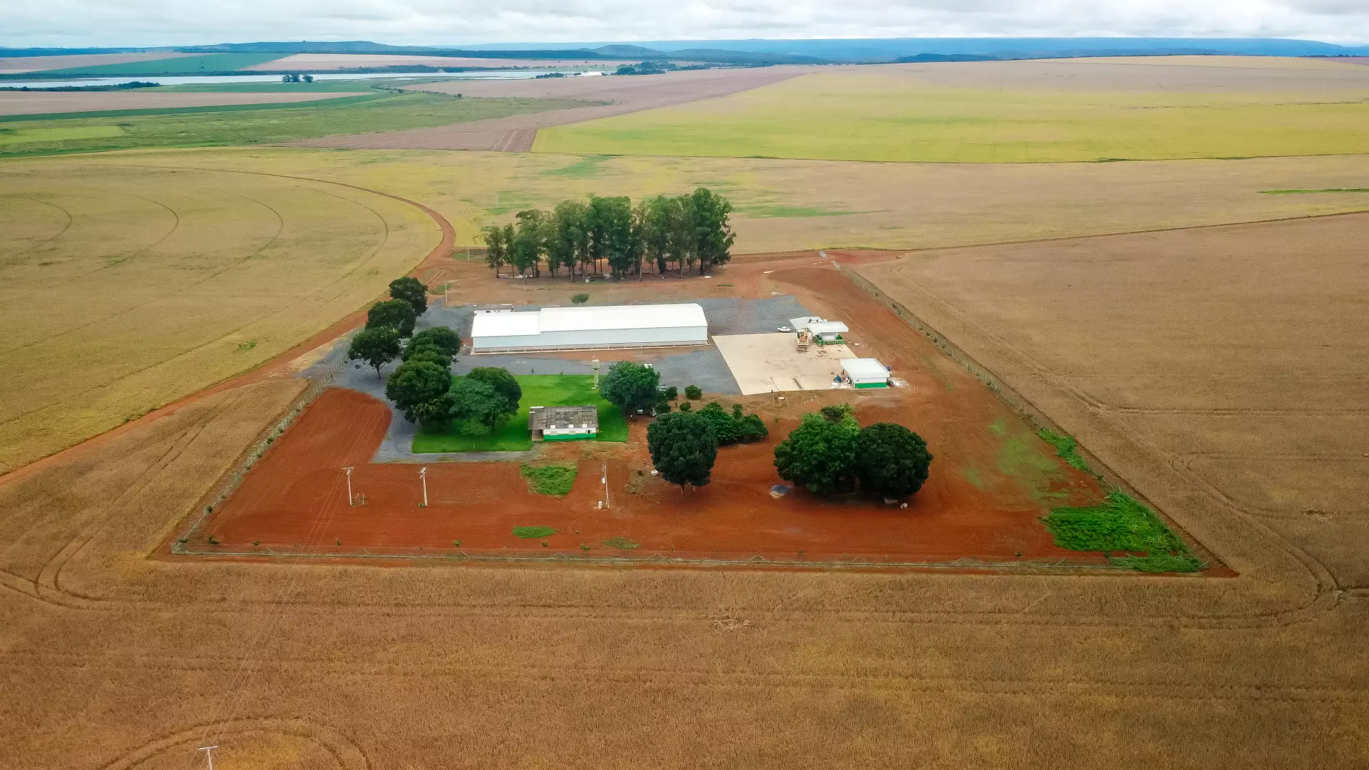 Agropecuária Gado Bravo - Unidade Cabeceiras-GO